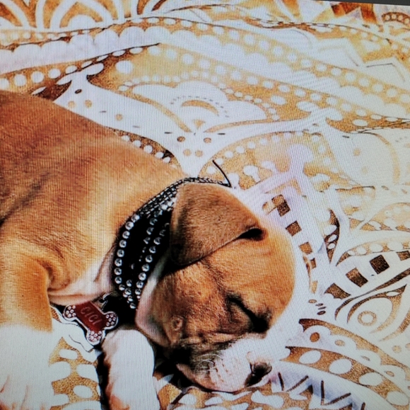 NEW BO HO GOLD AND WHITE, TABLE CLOTH, WALL ART. - Picture 2 of 16